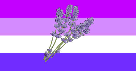 Lavendergender