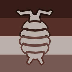 woodlousegender/pillbuggender